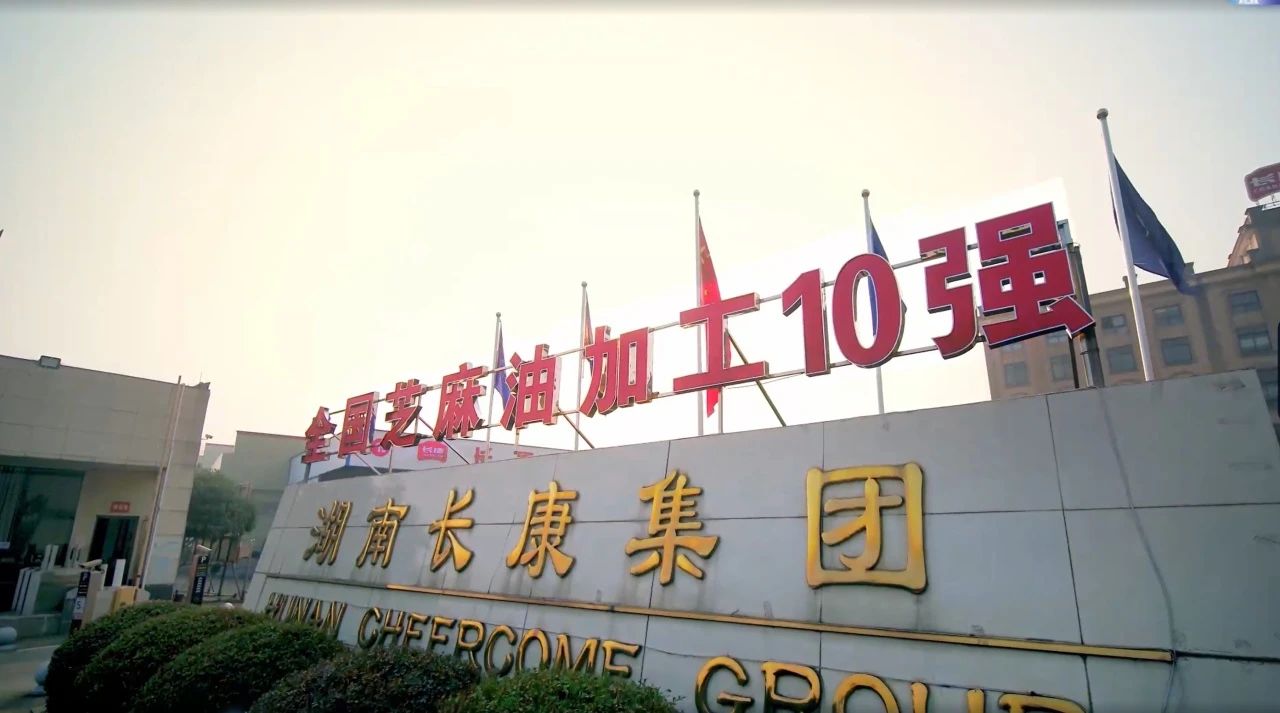 在傳承與創新中砥礪前行，長康老字號再獲殊榮！